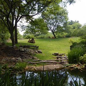 6/17/2018 - Hoofstock Habitat