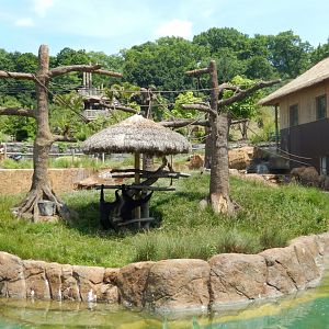 6/17/2018 - Siamang Island