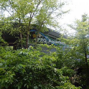 6/17/2018 - PPG Aquarium Exterior