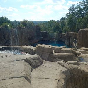 6/17/2018 - Polar Bear Habitat