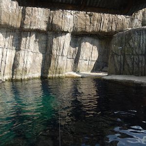 6/17/2018 - Sea Otter Pool