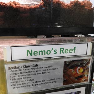 See the sign and cringe...