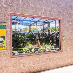 Skink and tortoise exhibit