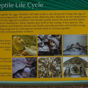 Informational signage