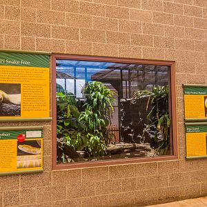 Burmese Python exhibit