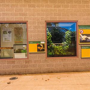 Axolotl and Burmese Python exhibit