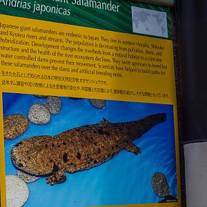 Exhibit sign