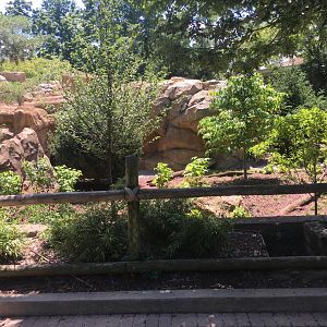 NEW! Nearly-Complete Bald Eagle Exhibit!