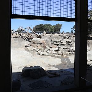 grizzly bear exhibit (pool drained)