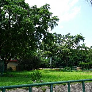 Asian elephant enclosure
