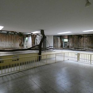 View of Tapir Indoors