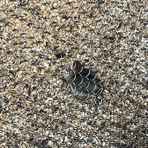 Temminck's tragopan chick