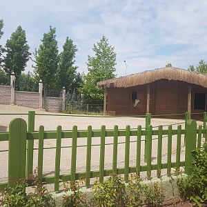 Camel enclosure with stable 19 May 2018