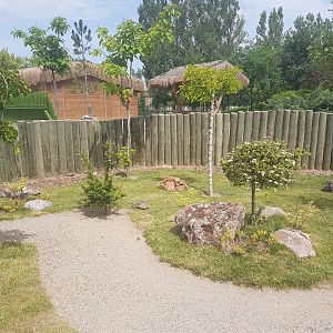 Greek Tortoise enclosure 19 May 2018