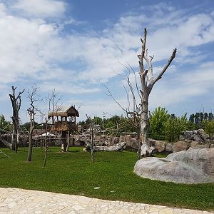 Ring-tailed lemur enclosure 19 May 2018
