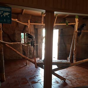Indoor amazon enclosure 19 May 2018