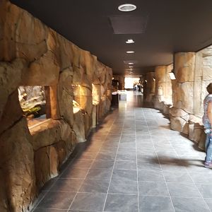 Inside of "tropical center"