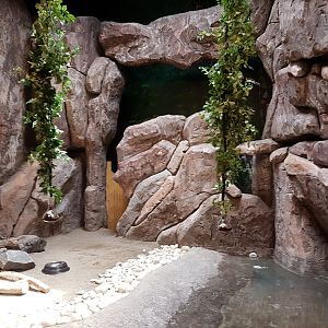 Large enclosure within the "tropical center"