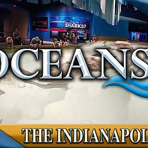 Zoo Tours Episode 25: Oceans at the Indianapolis Zoo