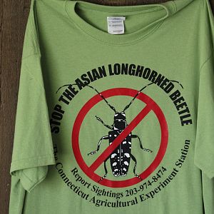 Anti-Beetle Shirt