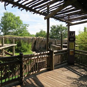 Chimpanzee Habitat - Upper Level View