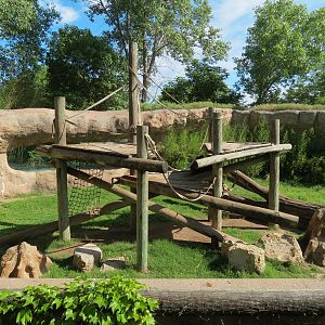 Chimpanzee Habitat - Upper Level View