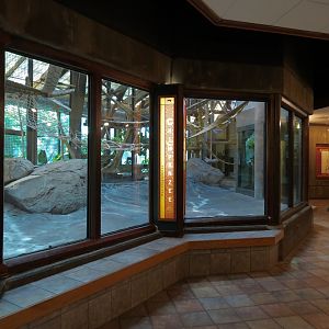 Chimpanzee Habitat - Indoor Bedroom View