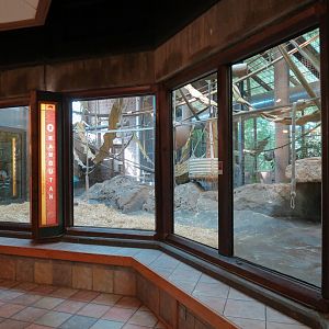 Orangutan Habitat - Indoor Bedroom View