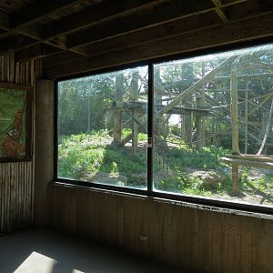 Orangutan Habitat - Viewing Shelter