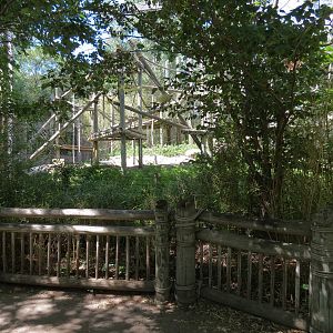 Orangutan Habitat - Viewing Area