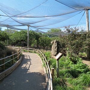 Australia - Walk-through Aviary Yard