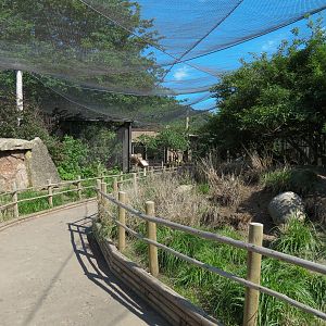 Australia - Walk-through Aviary Yard