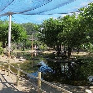 Australia - Walk-through Aviary Yard