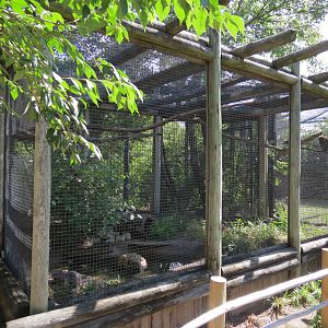 Australia - Kea Exhibit