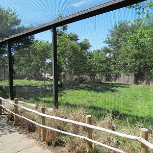 Australia - Emu and Wallaroo Exhibit