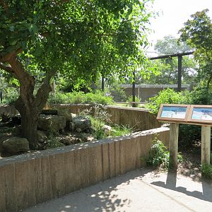 South America - Walk-through Aviary Yard - Jamaican Iguana and Yellow-footed Tortoise Exhibit