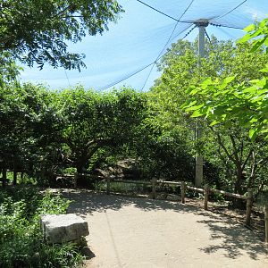 South America - Walk-through Aviary Yard