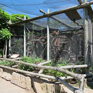 South America - Squirrel Monkey Exhibit
