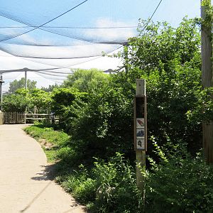 South America - Walk-through Aviary Yard