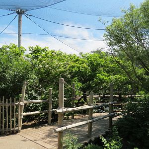 South America - Walk-through Aviary Yard