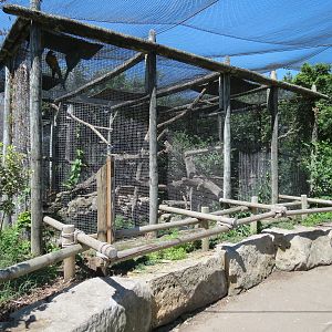 South America - Blue-Throated Macaw and Others Exhibit