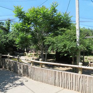 South America - Walk-through Aviary Yard - Capybara Exhibit