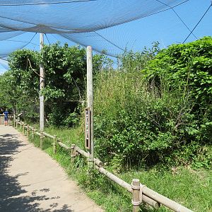South America - Walk-through Aviary Yard