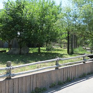 South America - Giant Anteater Exhibit