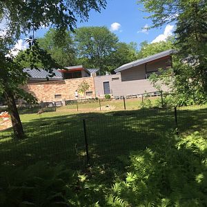 New Viewing for Flamingos + New Bathrooms