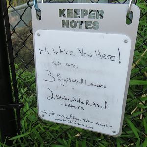 Primate Forest - Lemur Signage