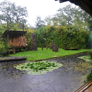 Chimpanzee Enclosure at La Flèche, 11/06/18