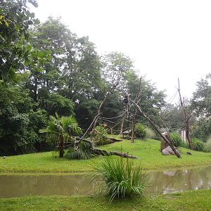 Black Lemur Island at La Flèche, 11/06/18