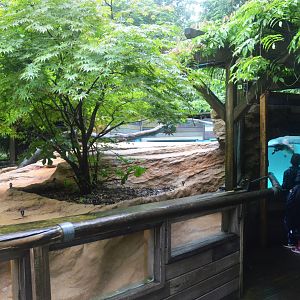 North American River Otter Enclosure at La Flèche, 11/06/18