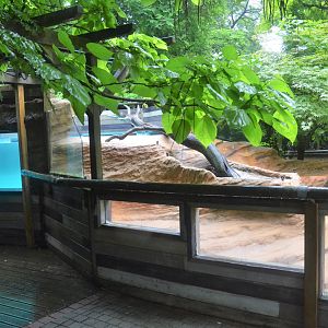 North American River Otter Enclosure at La Flèche, 11/06/18